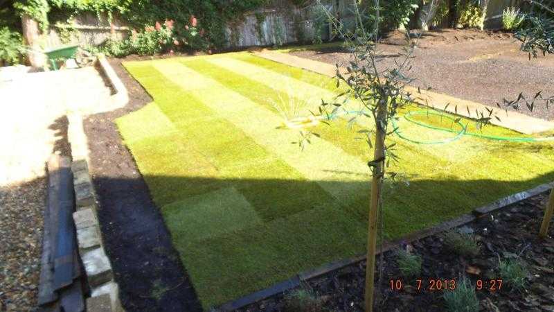 SUSSEX LAWNS 40 years established family run business.