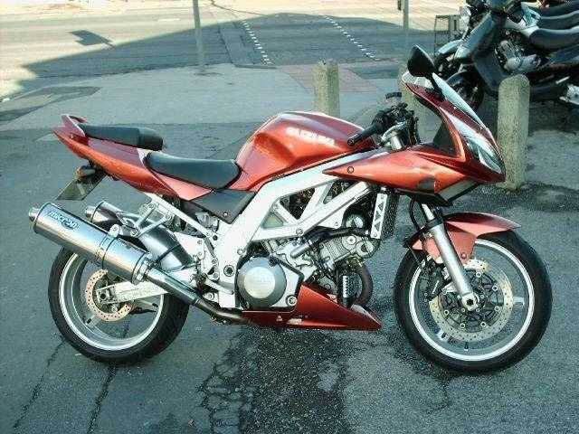 Suzuki SV 2003