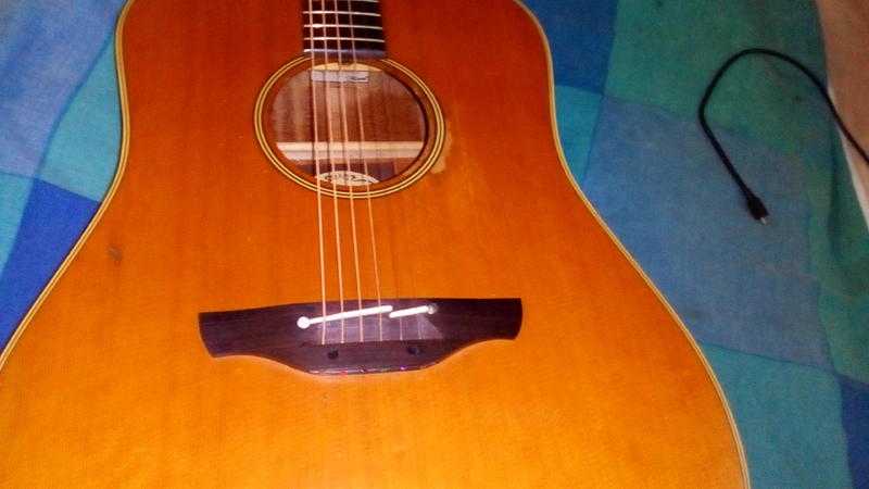 Takamine EN10 electro acoustic guitar plus Tak case 465
