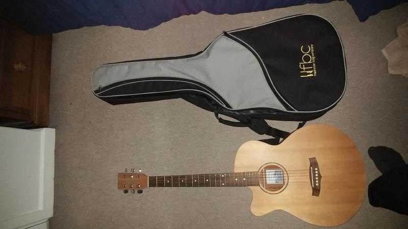 Tanglewood acoustic guitar with soft gig bag