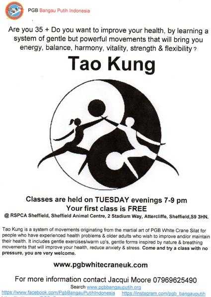 Tao Kung classes Sheffield improve your health, energy, vitality, balance,  flexibility amp strength