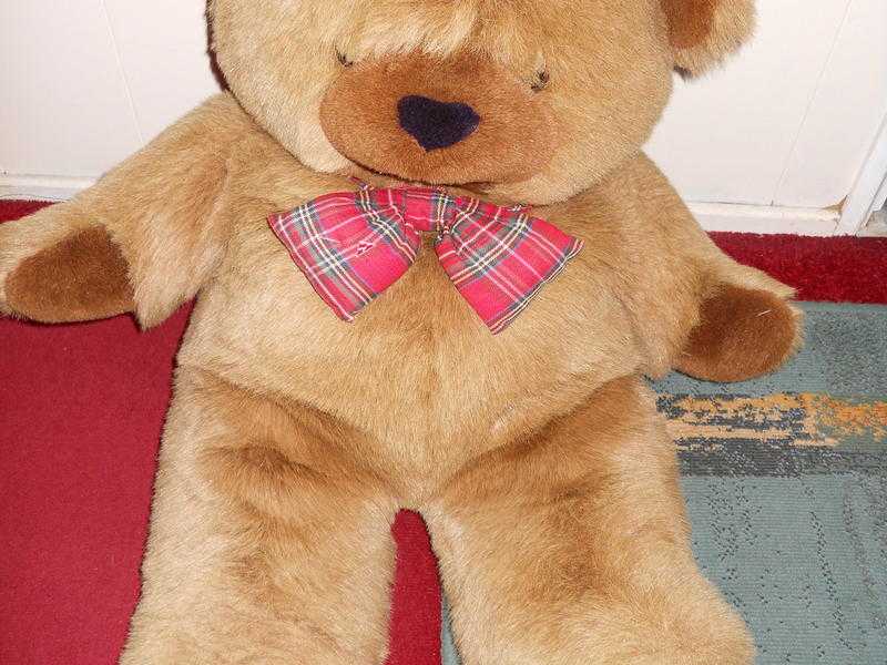 Teddy Bear (Large)