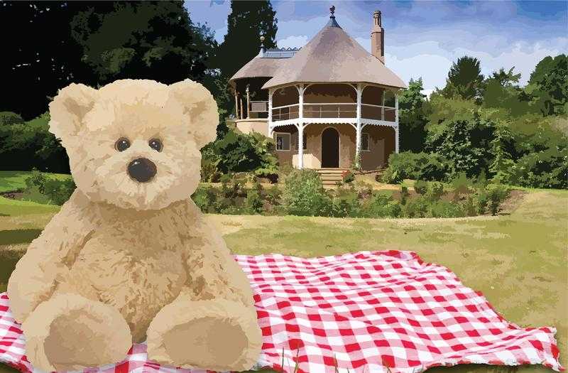 Teddy Bears Picnic