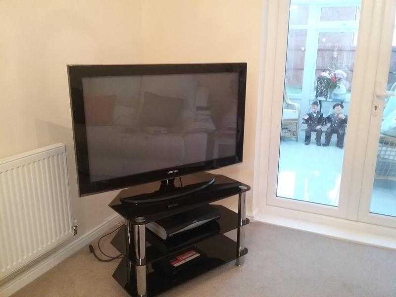 Television with stand