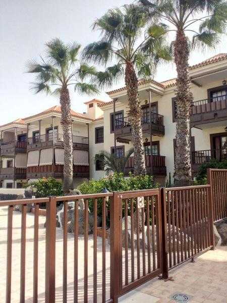 Tenerife One Bed-room flat to rent. COSTA DEL SILENCIO Avaiable now