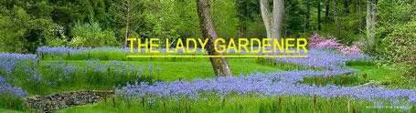 The Lady Gardener