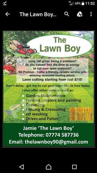 The lawn boy