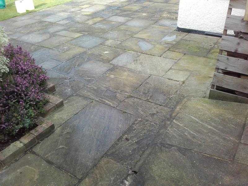 The Patio Black Spot Removal Company LTD