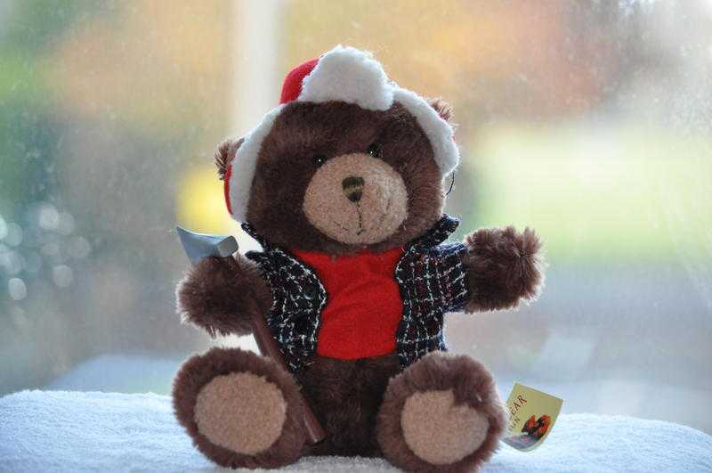 The Teddy Bear Collection - Louis the lumberjack