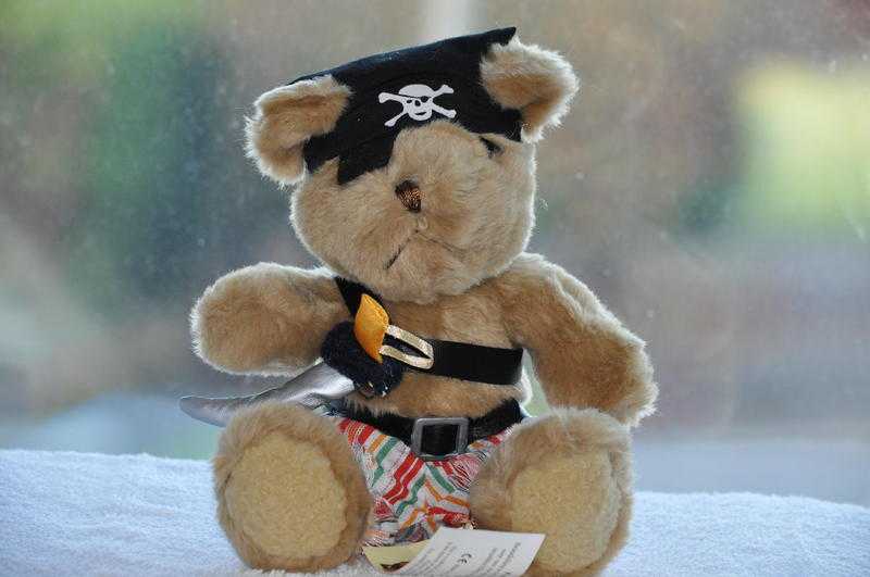 The Teddy Bear Collection - Pedro the pirate