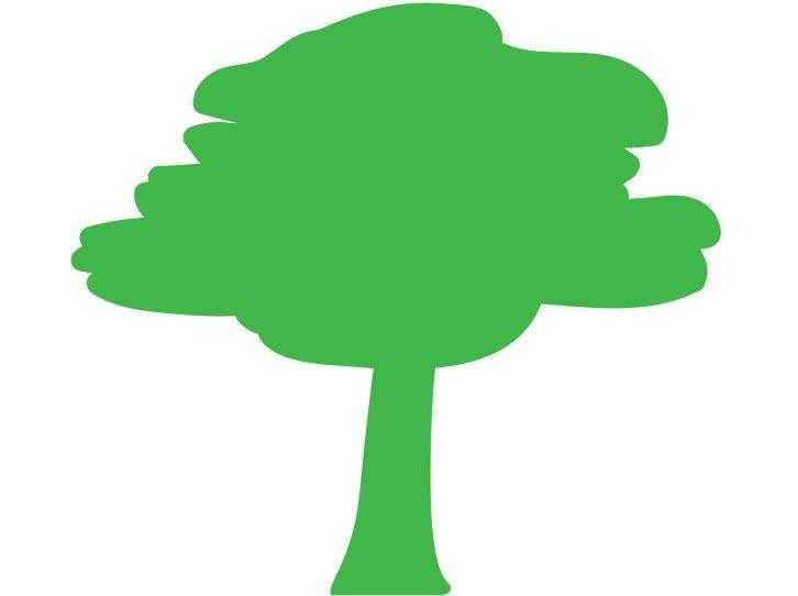 The Tree Musketeers - Find us on Checkatrade.com