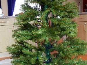 thick fir pine christmas tree