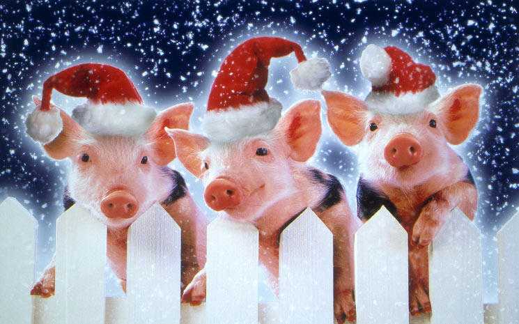 Three Pigs Country Christmas Fair