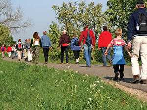 Tillington Open Gardens