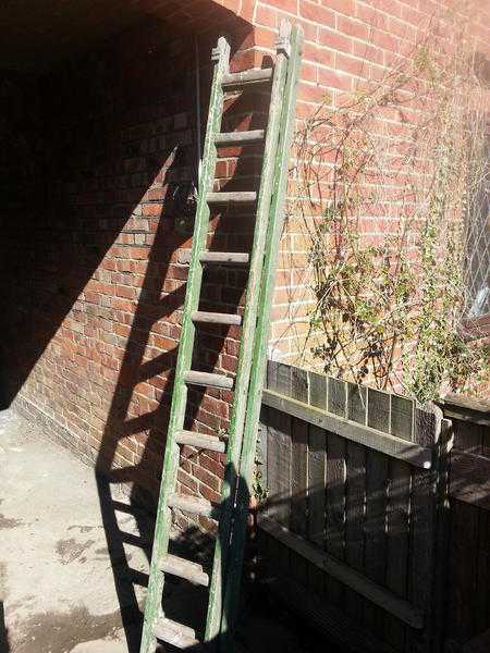 Timber Two Section Ladder