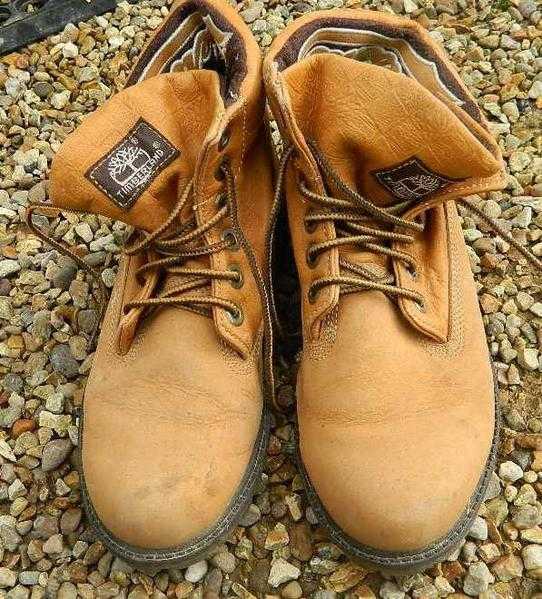 Timberland walking shoes