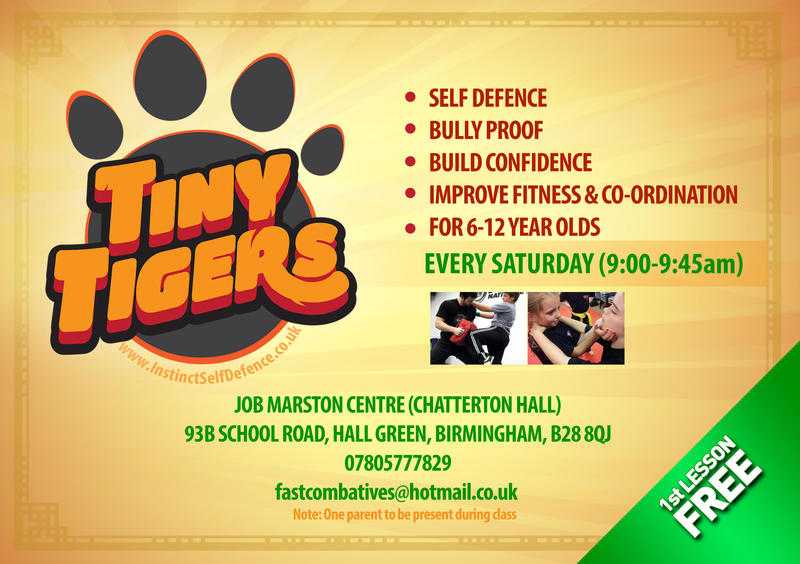 Tiny Tigers - Children039s Self Defence classes