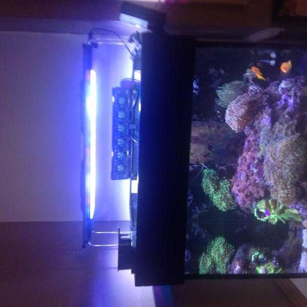 Tmc v2 ilumenair marine reef coral light led tank not radion eco tech hydra kessil