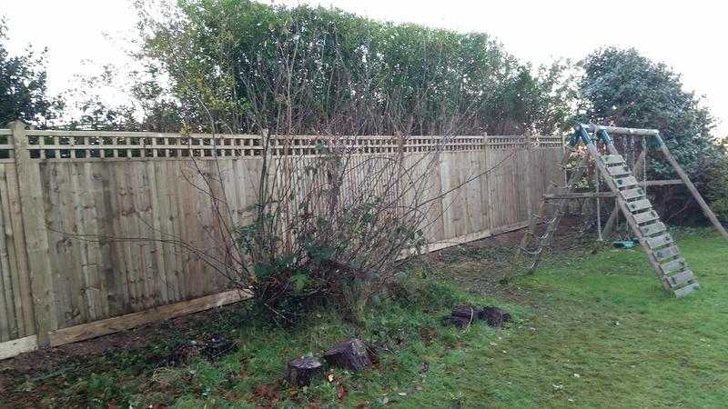 Tonbridge and Sevenoaks fencing