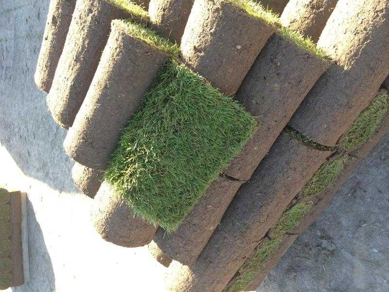 Top quality lawn turf, grass rolls and top soil