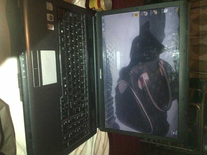 Toshiba Laptop