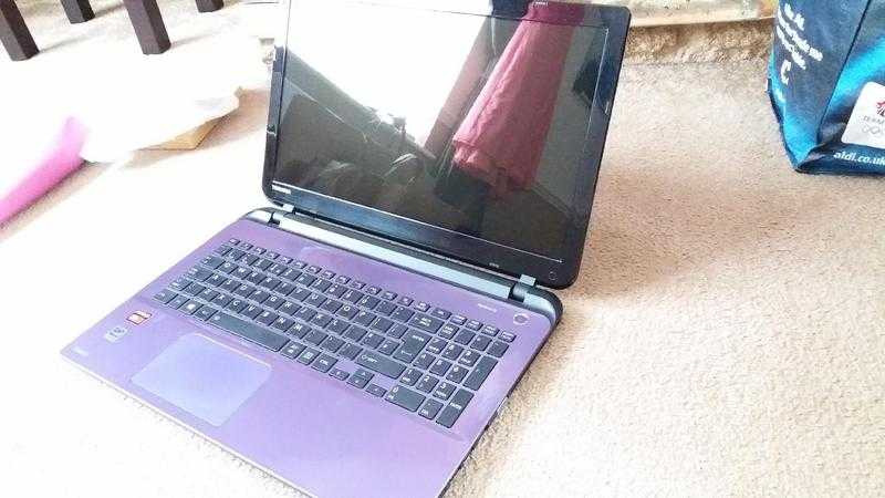 Toshiba satellite purple laptop