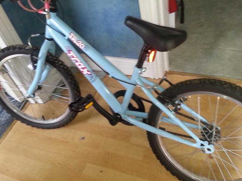 TR-20 Light blue girl039s bike