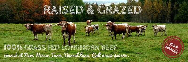 Traditional English Longhorn Meat Boxes