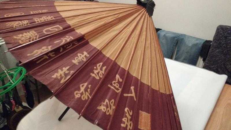 Traditional Janome Wagasa Japanese Bamboo Umbrella