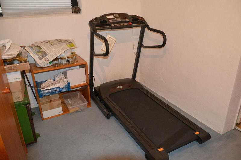 Treadmill Horizon Omega II WG