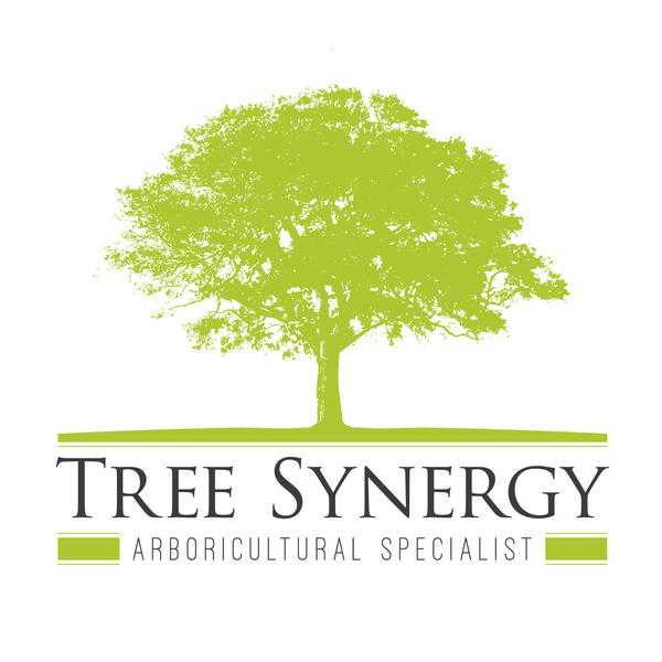 Tree Services