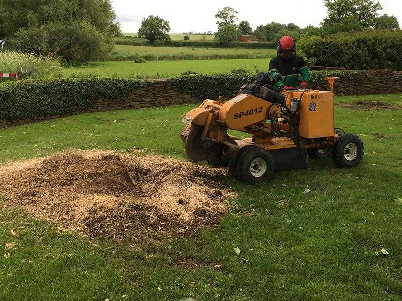 Tree Stump Removal