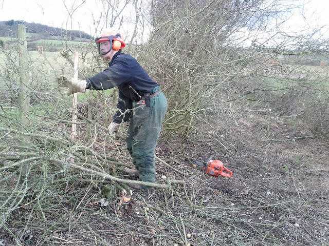 Tree surgery, country side management and Landscaping services