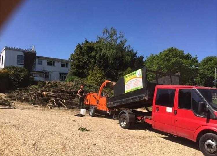 Tree surgery , landscaping , fencing , gardening , paving