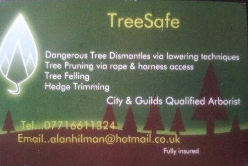 TreeSafe NI.professional tree are service
