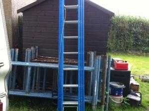 Triple Extension Ladders