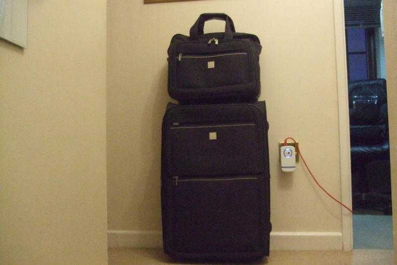 Tripp Suitcase and top carry bag