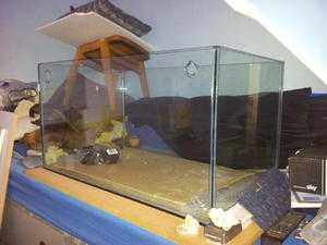 Tropical fish tank