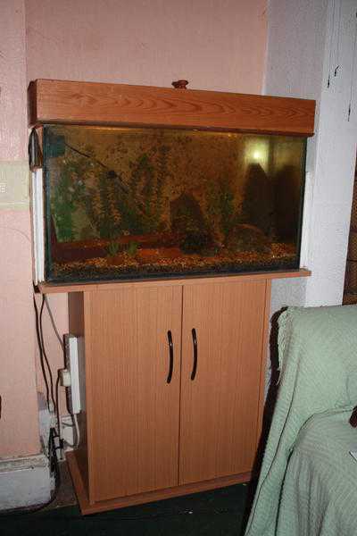 Tropical tank and cabinet.