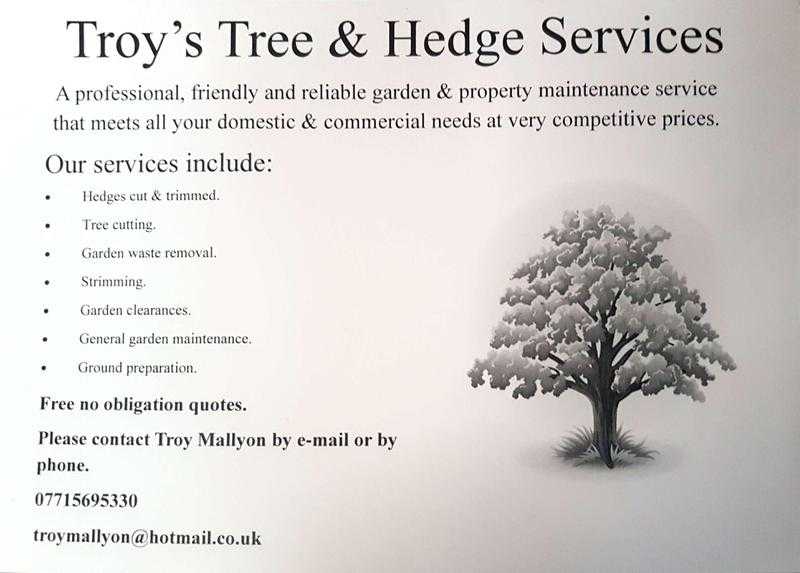 Troy039s Tree amp Hedge Services