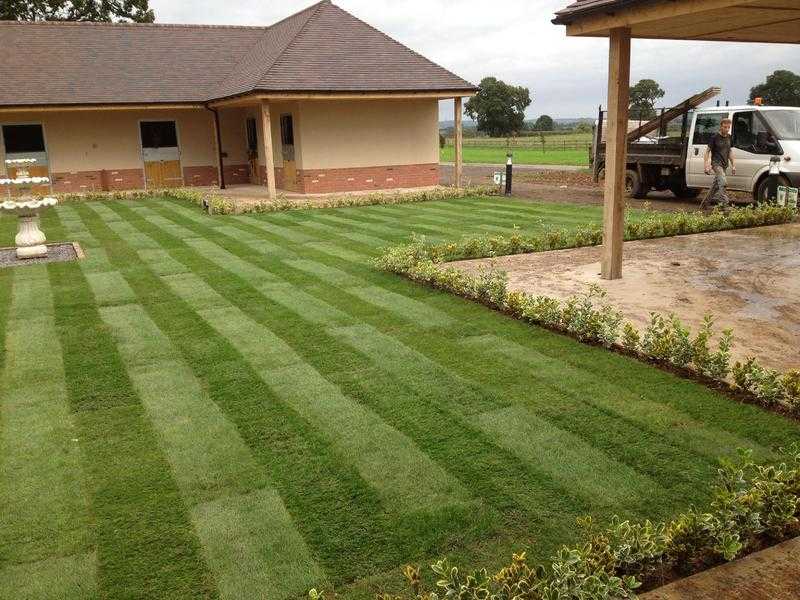 Turf - quality lawn turf