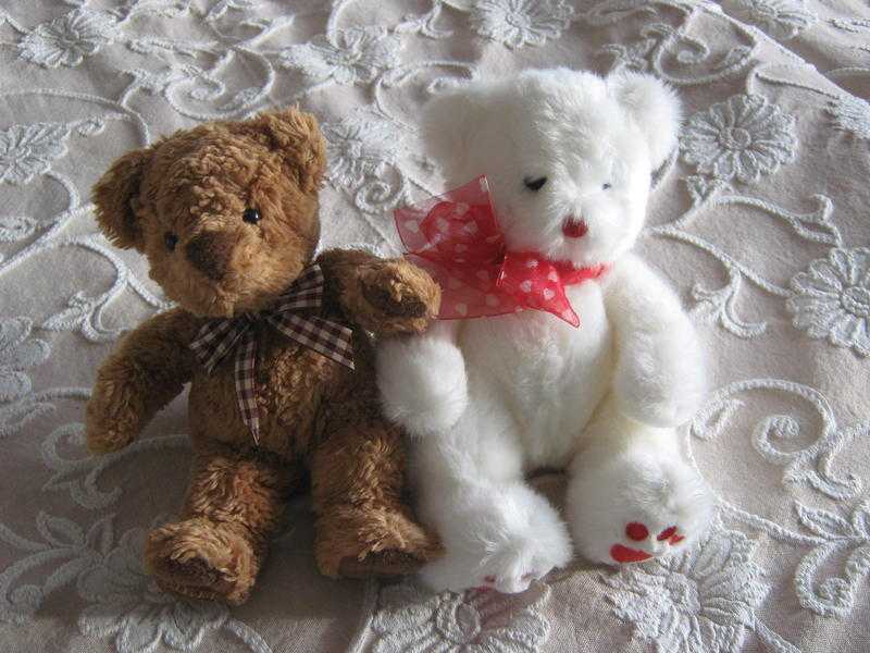 twin teddies