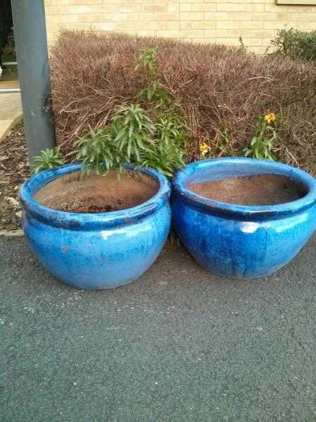 Two large garden pots