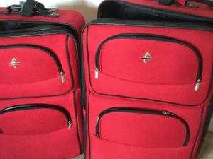 Two Suit Travel Cases