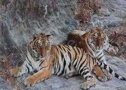 Twos Company by Jonathan R Gilkes Tigers