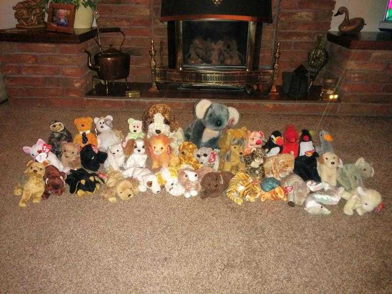 Ty Beanie Babies Collection amp 2 Beanie Buddies From 2 Each Or Job Lot Price