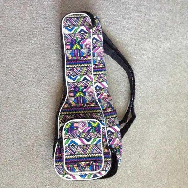 Ukulele Case