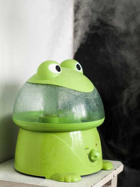 ULTRASONIC HUMIDIFIER FROG