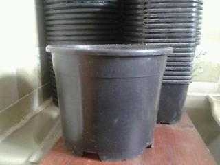 Used Black plastic large buckets  plant pots