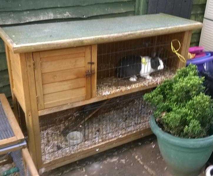 VARIOUS SINGLE amp DOUBLE RABBIT GUINEA PIG HUTCHES AVAILABLE FROM 20 EACH